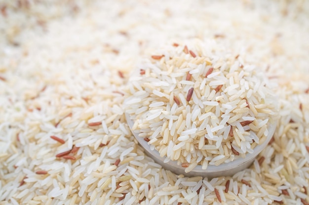 Foto arroz orgánico