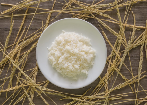Arroz plano en plato blanco sobre fondo de madera gris y arroz de arroz seco, planta de arroz