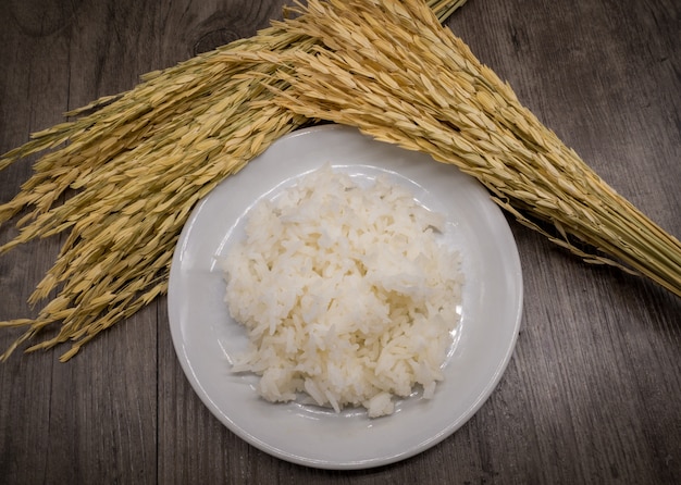 Arroz en plato blanco sobre fondo de madera gris y arroz de arroz seco, planta de arroz