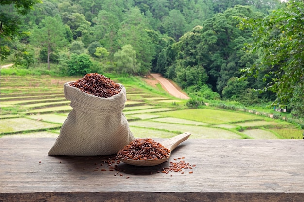 Arroz rojo en un saco y una cuchara de madera con el fondo del campo de arroz adosado