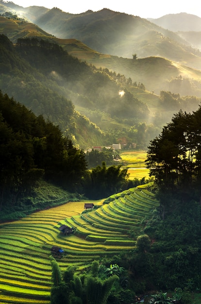 Arroz terraced campos em Mu Cang Chai District, província de YenBai, noroeste do Vietnã