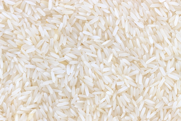 arroz