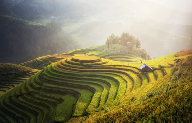 Arrozais em terraços de Mu Cang Chai, YenBai, Vietnam. Paisagens do Vietnã.