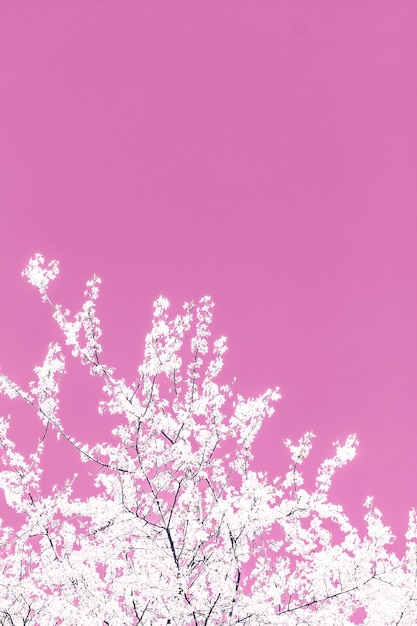 Arte abstracto floral sobre fondo rosa flores de cerezo vintage en flor como telón de fondo natural para el diseño de vacaciones de lujo