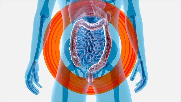 Arte abstracto del sistema intestinal