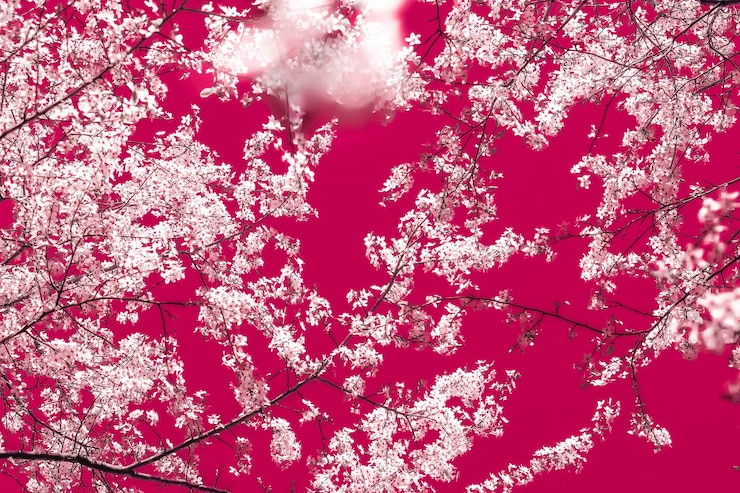 Foto arte abstrata floral em flores de cerejeira vintage de fundo marrom em flor como pano de fundo da natureza para design de férias de luxo