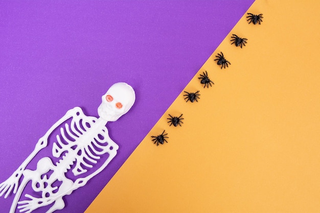 Arte aterrador de halloween con dos calaveras, arañas, fondo morado, vista superior, espacio de copia