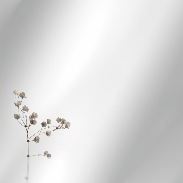 arte blanco