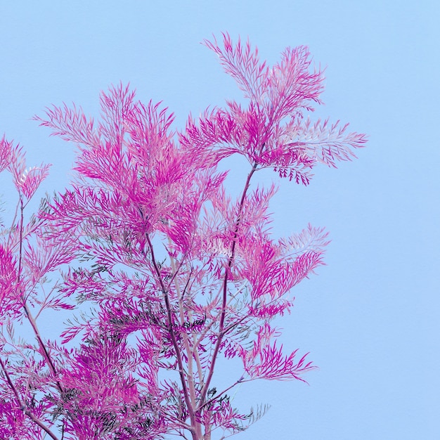 Arte de colores de árboles. Mínimo. Colores de moda