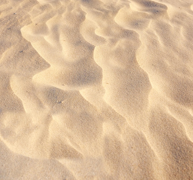 Arte de areia Arte de areia natural na praia