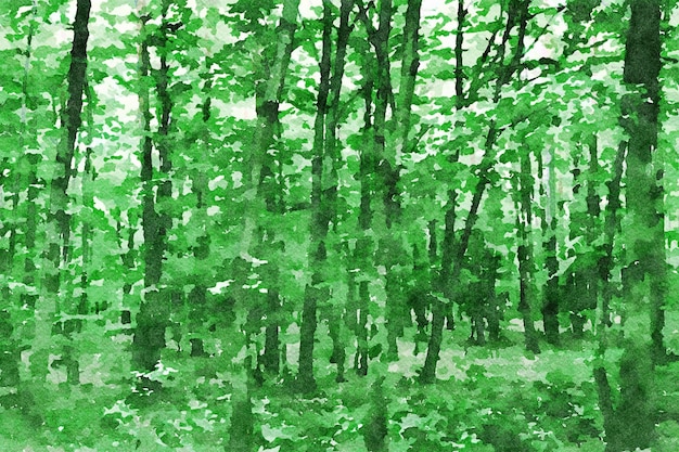 Arte digital pintura lienzo verde entonado abstracto exuberante bosque efecto acuarela