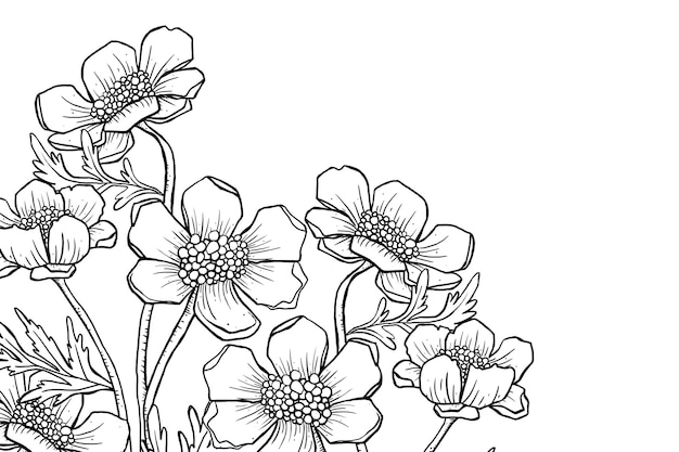 Arte de líneas florales con borde png diseño dibujado a mano fondo transparente