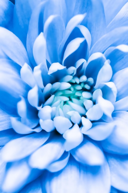 Arte retrô, cartão vintage e conceito botânico - abstrato floral, flor de crisântemo azul. Pano de fundo de flores macro para design de marca de férias