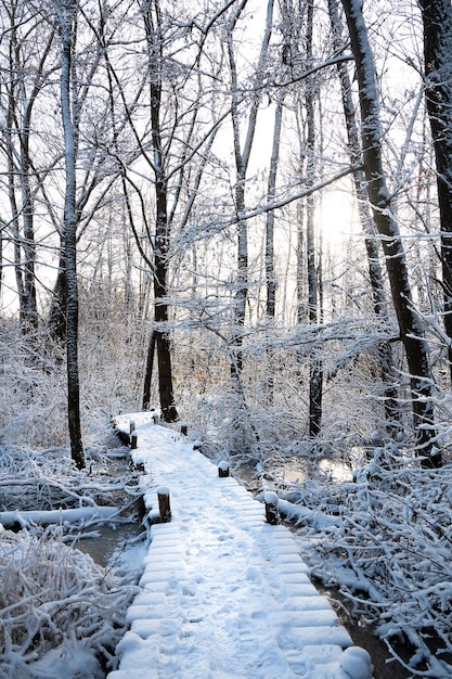 Artenvielfalt Haff Reimech Feuchtgebiet Naturschutzgebiet Luxemburg Teichbäume Schnee im Winter