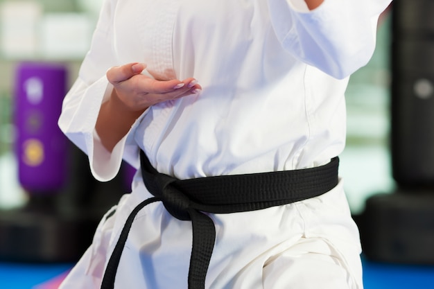 Artes marciales entrenamiento deportivo en gimnasio.