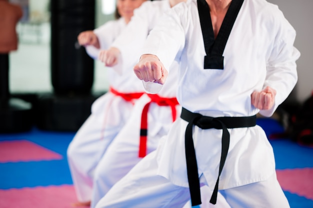 Artes marciales entrenamiento deportivo en gimnasio.