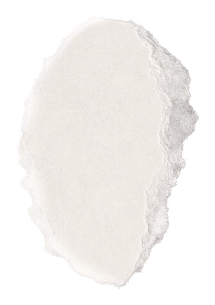 Artesanía de papel rasgado DIY png en estilo simple blanco