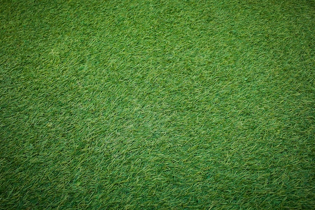 Artificial grass field top view texture.