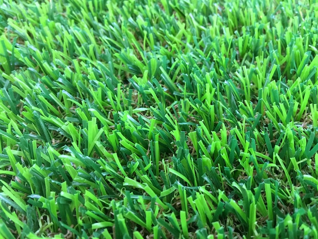 Artificial Plastic Green Grass Background