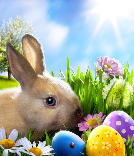 Artito conejo de Pascua y huevos de Pascua en la hierba verde