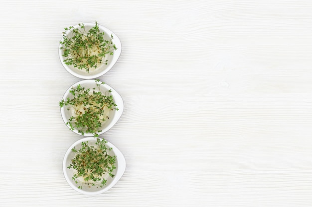 Arugula, der in der kleinen runden Schüssel, moderner gesunder Salat wächst. Mikrogrüns für das Essen der rechten und vegetarischen Biokost auf weißem Holztisch. Ansicht von oben.