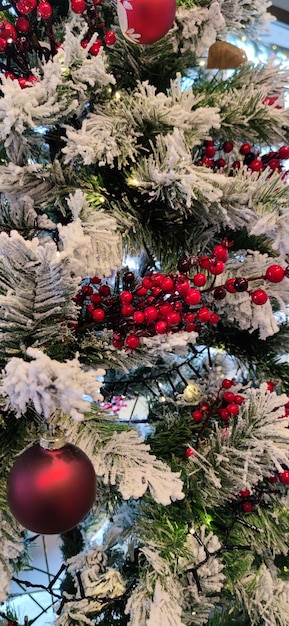 árvore com decoração de natal