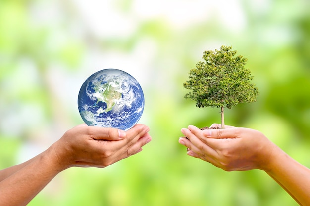 Árvore crescendo na mão humana com o planeta na mão humana Dia da Terra mundial e conceito de conservação ambiental Os elementos desta imagem são decorados pela NASA.