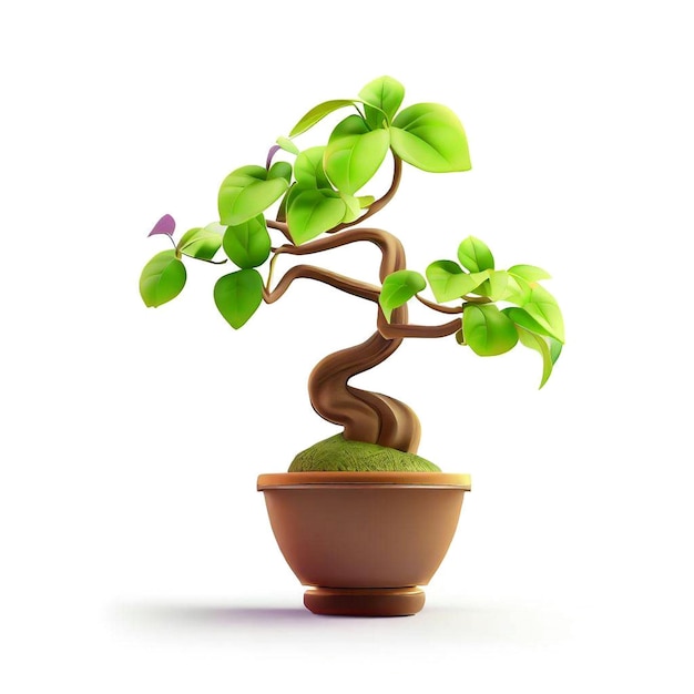 árvore de bonsai em uma panela em um fundo branco