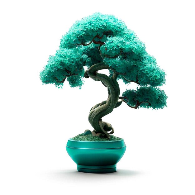 árvore de bonsai em uma panela em um fundo branco