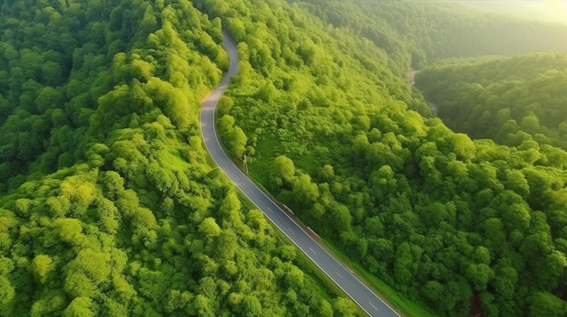 Árvore de floresta aérea com vista superior com conceito de ambiente de ecossistema de carro Estrada rural passando pela floresta verde e montanha