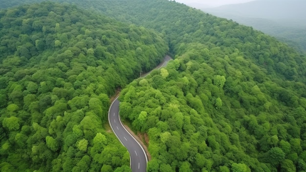 Foto Árvore de floresta aérea com vista superior com conceito de ambiente de ecossistema de carro estrada rural passando pela floresta verde e montanha