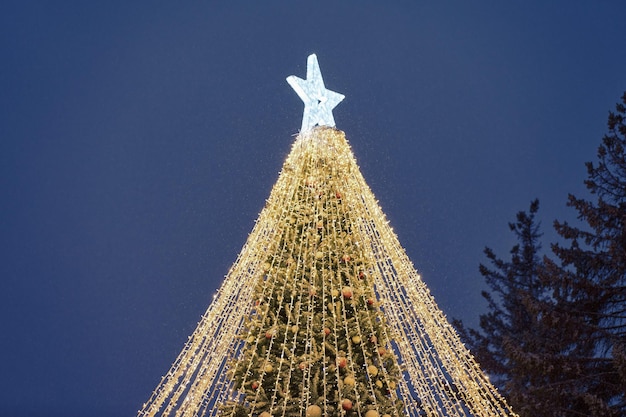 Árvore de natal com lâmpadas decorativas de guirlandas amarelas e grande estrela branca no céu azul noturno