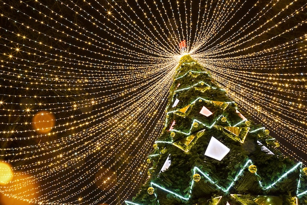 Árvore de natal de cidade alta no parque com guirlandas de luzes que brilha à noite na rua