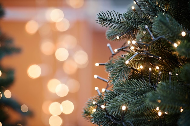 Árvore de Natal decorada com luzes com galhos de abeto enquadrando tiro