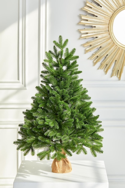 Árvore de Natal dinamarquesa bastante espessa sem decorações em uma panela grande embrulhada em pano de saco com espaço para sua mensagem em fundo branco