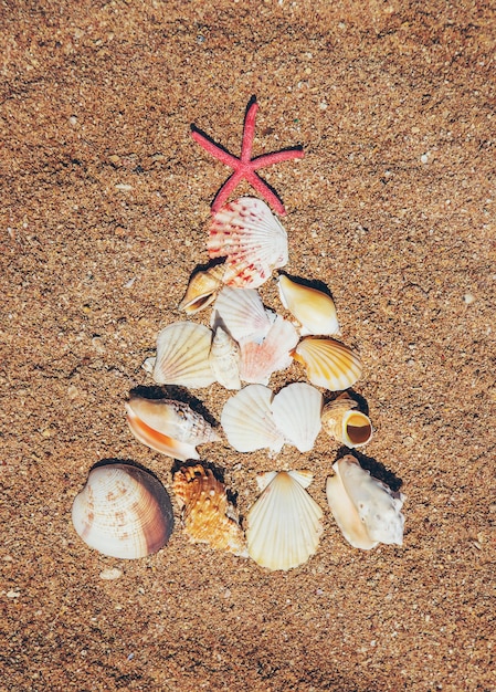 Árvore de natal feita de conchas na areia