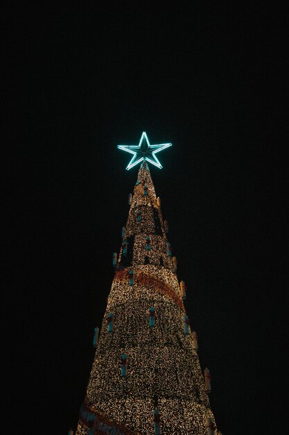 Foto Árvore de natal iluminada à noite