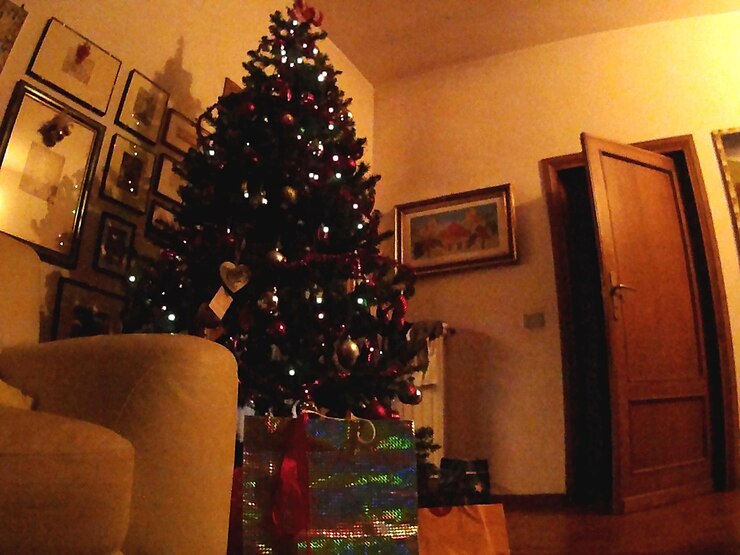 Foto árvore de natal iluminada à noite