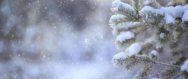 árvore de natal na floresta de inverno paisagem de natal