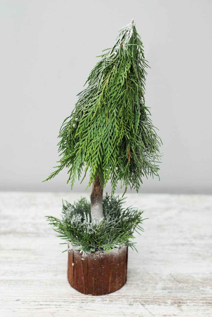 Foto árvore de natal natural com neve artificial. isolado. imagem vertical.