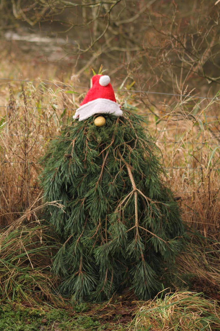 Foto árvore de natal vermelha na planta