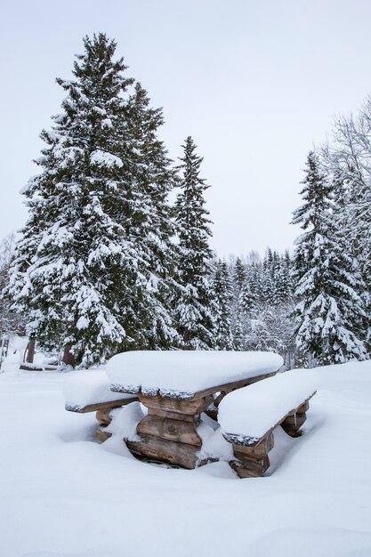 Árvore de neve linda paisagem de inverno