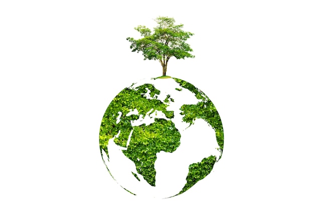 Árvore do dia da Terra em terra verde em fundo isolado branco