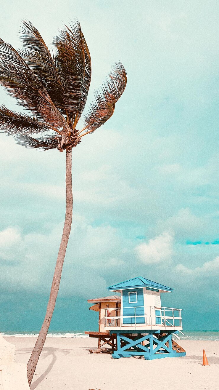 Foto árvore e cabana de salva-vidas na praia contra o céu