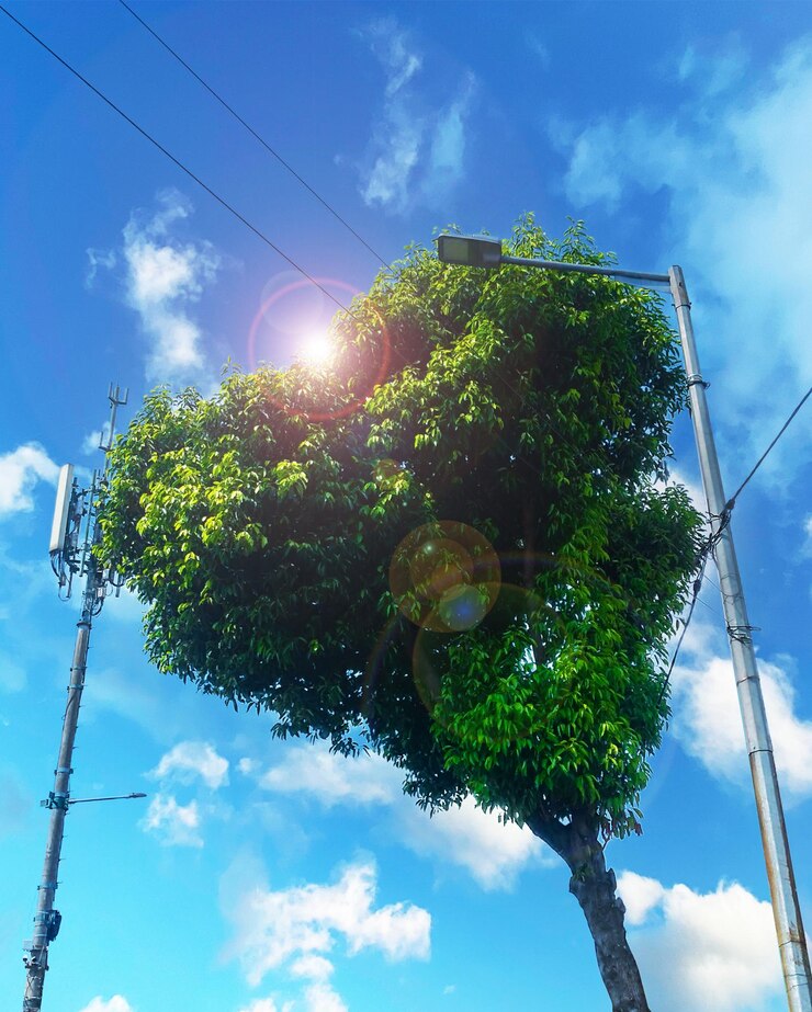 Foto árvore em forma de coração, postes de luz e céu encantador