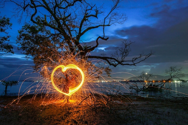 Árvore iluminada contra o céu à noite