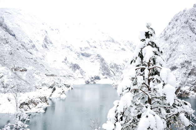 Árvore, lago, floresta, neve, inverno