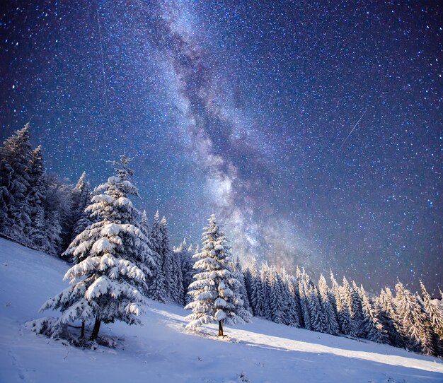 Árvore mágica na noite estrelada de inverno