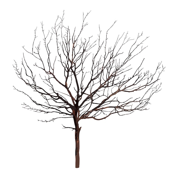 Árvore morta png clipart ilustração de aquarela em fundo transparente