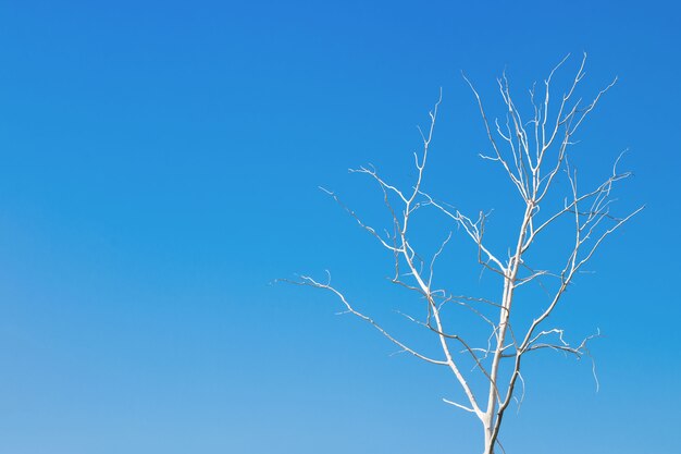 Árvore morta sozinha contra o céu azul